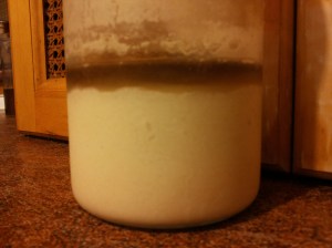 kvīnas ieraugs bez glutēna